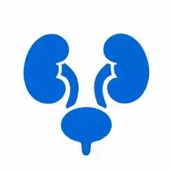 Genitourinary System